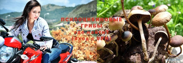 2c-b Алзамай