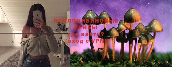 2c-b Алзамай