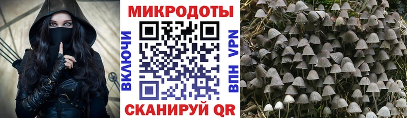Псилоцибиновые грибы Cubensis  blacksprut ссылки  Комсомольск  продажа наркотиков 